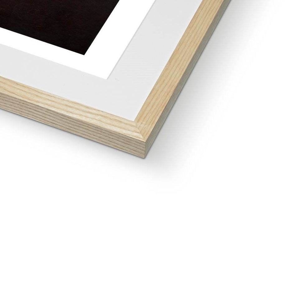 World Order Framed & Mounted Print